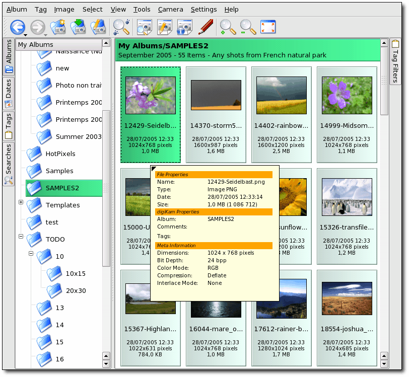 Das Hauptfenster