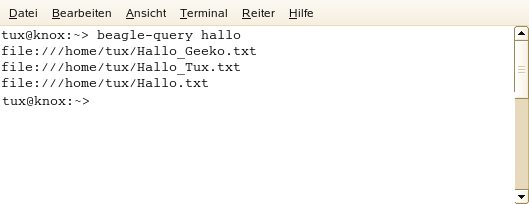 Verwenden des Befehls „beagle-query“