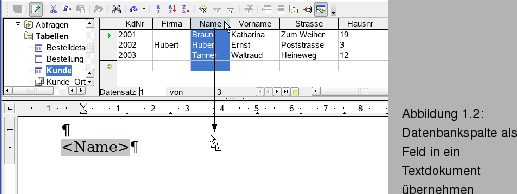 \begin{figure}\spfiglii{0.7}{Bld21_02.eps}{Datenbankspalte als Feld in ein
Textdokument bernehmen}{_Ref63905815}
\vspace{-11pt}
\end{figure}