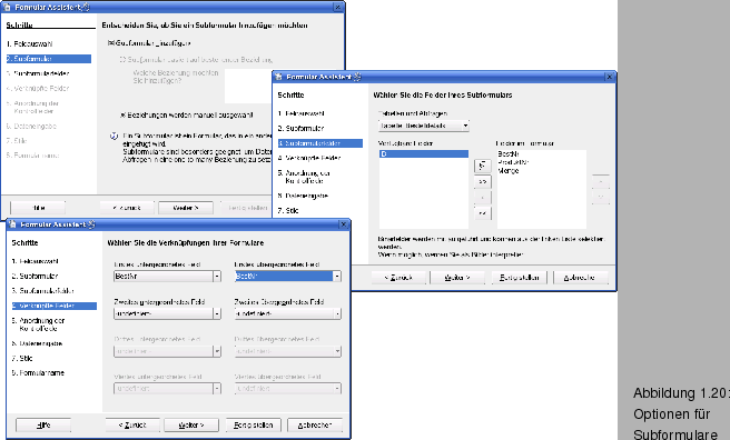 \begin{figure}\spfiglii{1}{Bld21_10.eps}{Optionen fr Subformulare}{_Ref63990214x}
\vspace{-11pt}
\end{figure}