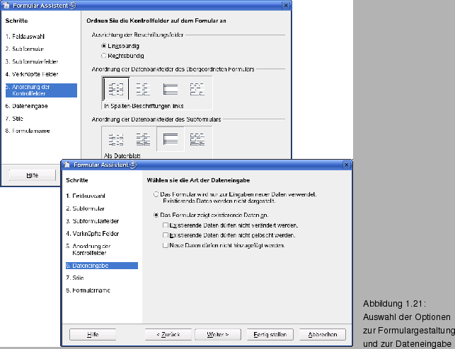 \begin{figure}\spfiglii{0.9}{Bld21_25.eps}{Auswahl der Optionen zur
Formulargestaltung und zur Dateneingabe}{_Ref63990904x}
\vspace{-11pt}
\end{figure}