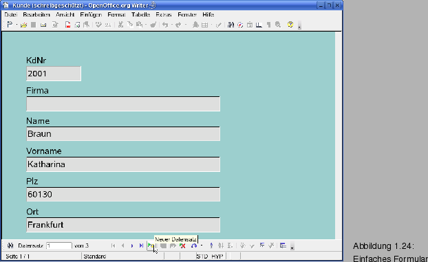 \begin{figure}\spfiglii{0.9}{Bld21_27.eps}{Einfaches Formular }{_Ref63992979}
\vspace{-11pt}
\end{figure}