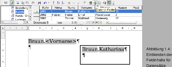 \begin{figure}\spfiglii{0.85}{Bld21_04.eps}{Einblenden der Feldinhalte fr
Datenstze}{_Ref63907598}
\vspace{-11pt}
\end{figure}