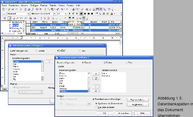 \begin{figure}\spfiglii{0.9}{Bld21_06.eps}{Datenbankspalten in das Dokument
bernehmen}{_Ref63913316}
\vspace{-11pt}
\end{figure}