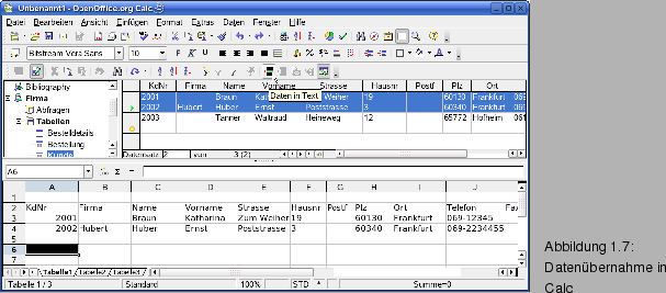 \begin{figure}\spfiglii{0.87}{Bld21_08.eps}{Datenbernahme in Calc}{_Ref63917351}
\vspace{-11pt}
\end{figure}