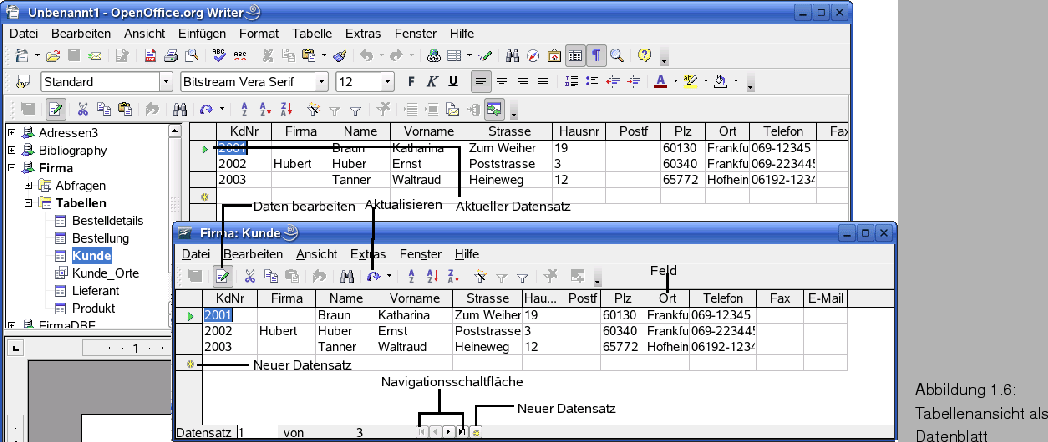 \begin{figure}\htmlimage
\spfiglii{1}{Bld20_04.eps}{Tabellenansicht als
Datenblatt}{_Ref62915993}
\vspace{-11pt}
\end{figure}