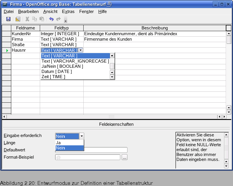 \begin{figure}\htmlimage
\spfigl{0.9}{Bld19_07.eps}{Entwurfmodus zur Definition einer Tabellenstruktur}{_B19_07}
\vspace{-11pt}
\end{figure}