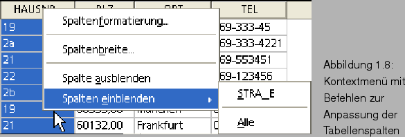 \begin{figure}\htmlimage
\spfiglii{0.5}{Bld20_06.eps}{Kontextmen mit Befehlen zur Anpassung der Tabellenspalten}{_Ref63476106}
\end{figure}