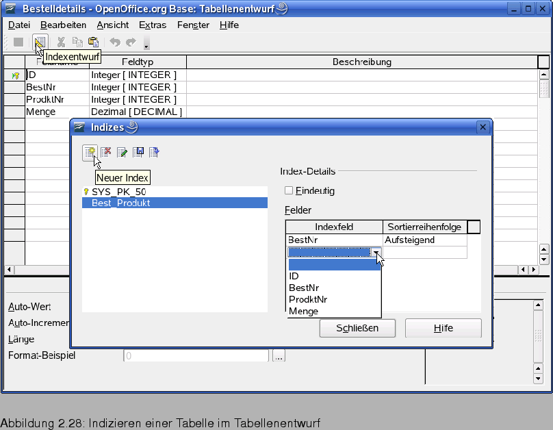 \begin{figure}\htmlimage
\spfigl{0.9}{Bld19_17.eps}{Indizieren einer Tabelle im Tabellenentwurf}{_B19_17}
\vspace{-11pt}
\end{figure}