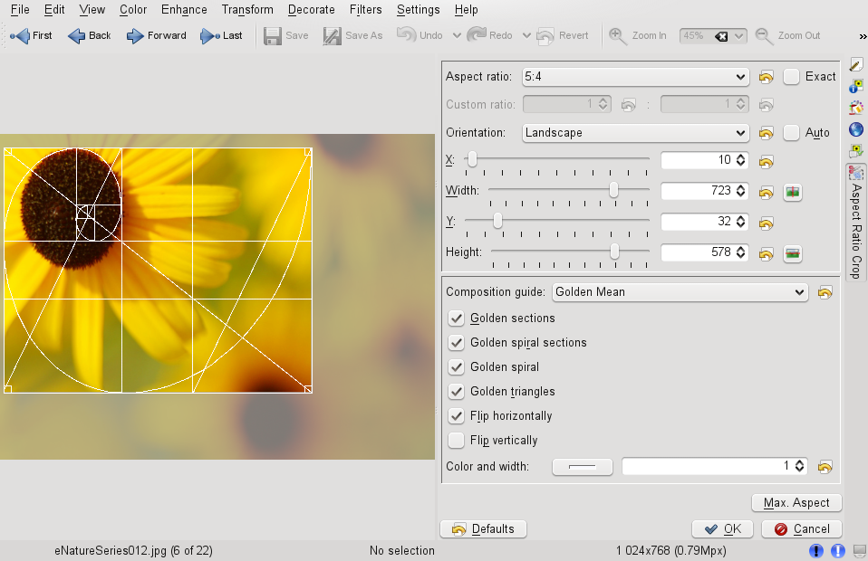 Creating a Custom Crop Using Aspect Ratio Crop