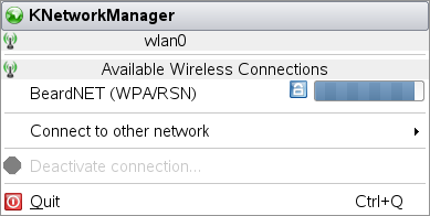 Verfügbare drahtlose Netzwerke im KNetworkManager-Miniprogramm