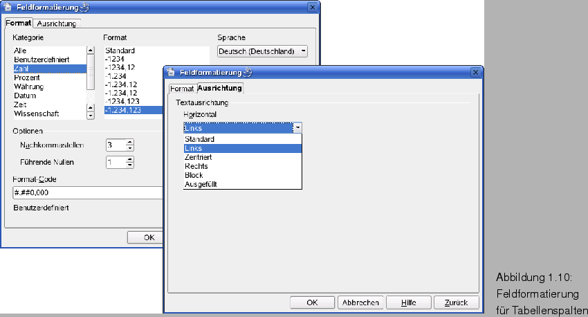 \begin{figure}\htmlimage
\spfiglii{0.78}{Bld20_08.eps}{Feldformatierung \newline f�r
Tabellenspalten}{_Ref63478556}
\end{figure}