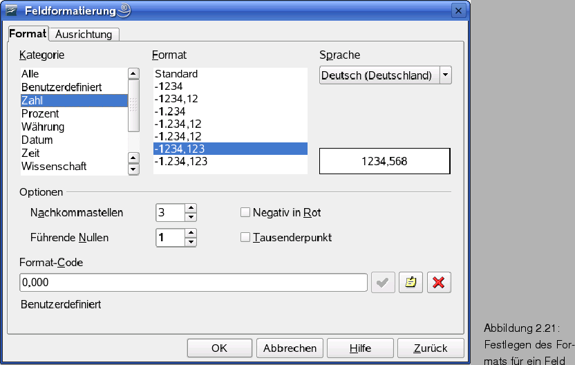 \begin{figure}\htmlimage
\vspace{-5pt}
\spfiglii{0.76}{Bld19_24.eps}{Festlegen des For- \newline mats f�r ein Feld}{_B19_24}
\end{figure}