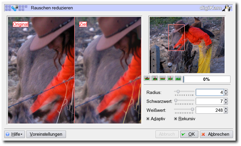 Der Dialog "Rauschunterdr�ckung"