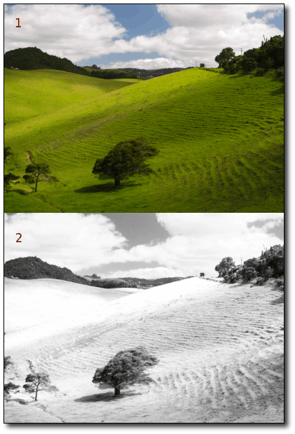 Der "Infrarotfilm simulieren" Dialog in Aktion